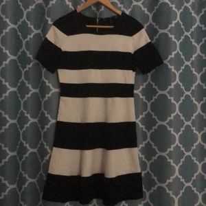 BGBGMaxAzria Sweater Dress